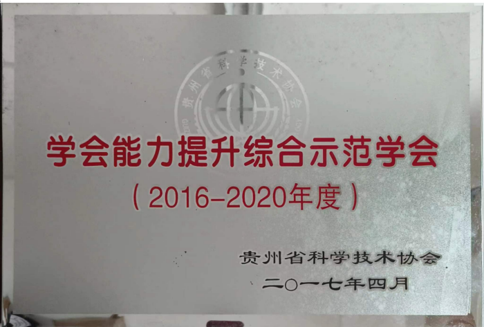 学会能力提升综合示范学会 学会能力提升综合示范学会