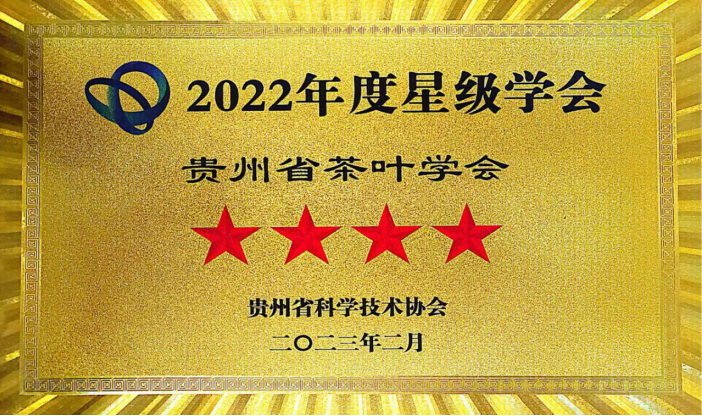 2022年度星级学会 2022年度星级学会