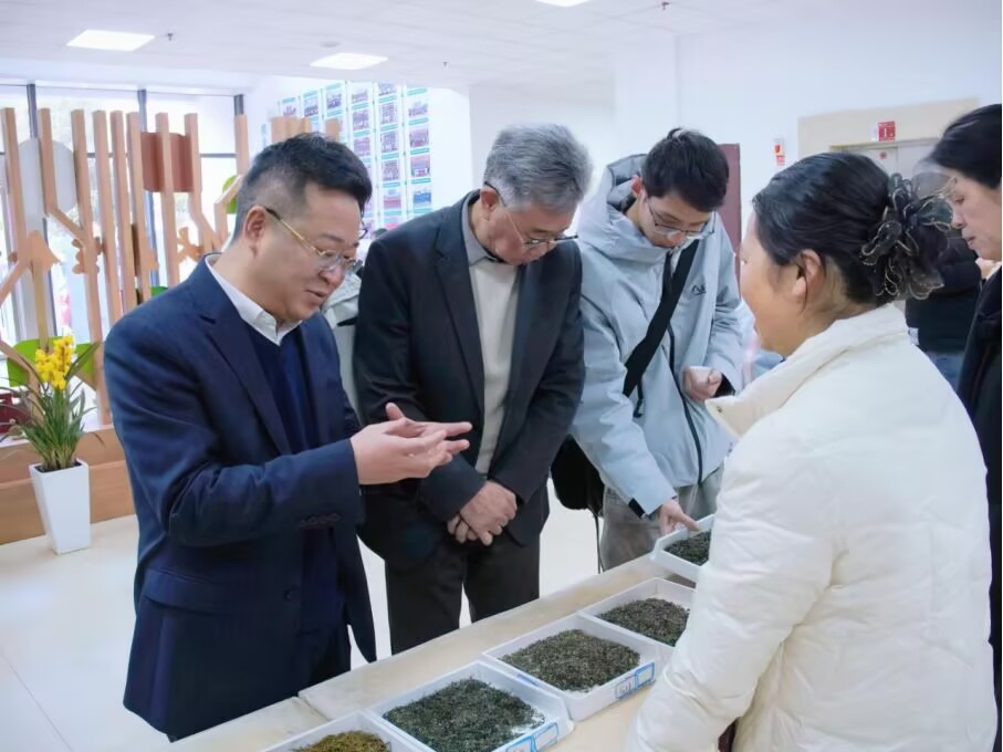 学会风采 学会风采