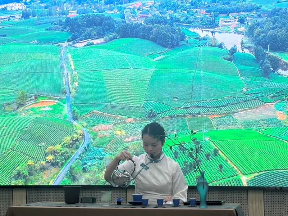 学会风采 学会风采